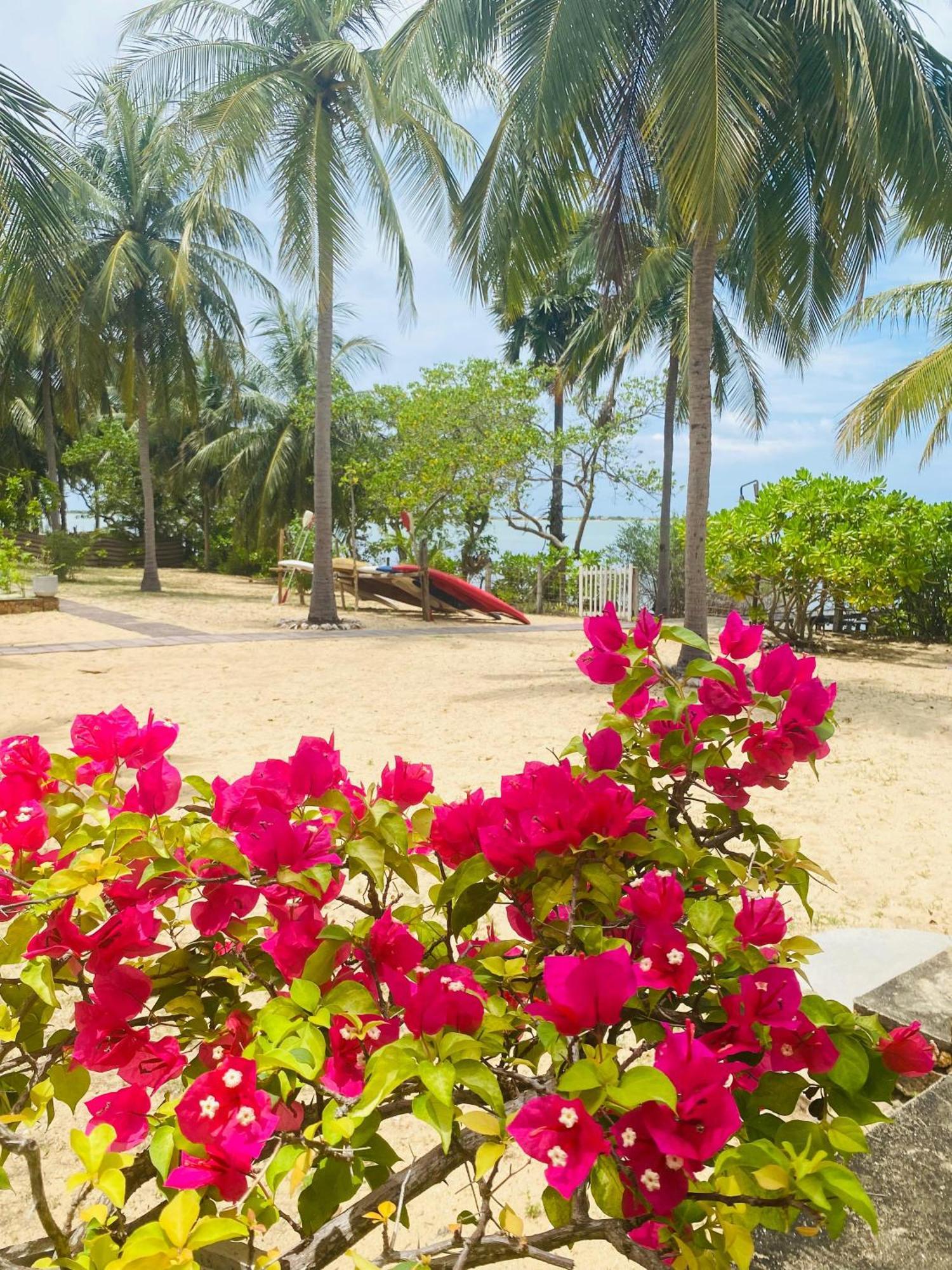 Villa Sethawadi Hotel And Kitesurf Centre Kalpitiya Exterior photo